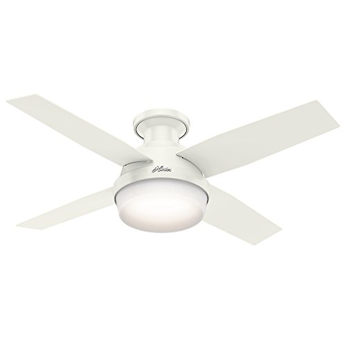 Hunter Fan Dempsey Low Profile Indoor Ceiling Fan...