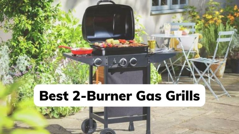 Top 10 Best 2-Burner Gas Grills: Reviews & Buying Guide In 2022