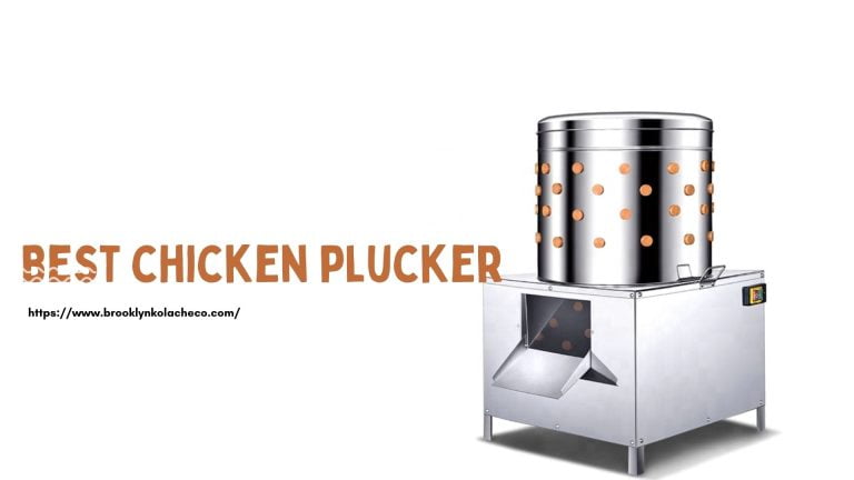 9 Best Chicken Plucker You Should Know of 2022