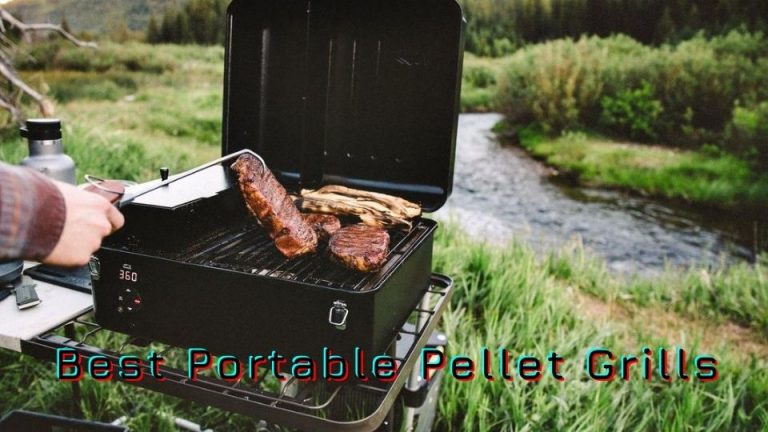 The 10 Best Portable Pellet Grills Reviews in 2022