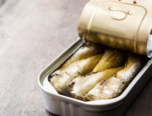 Best Canned Mackerel
