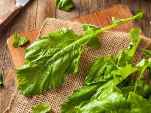Can You Eat Turnip Greens